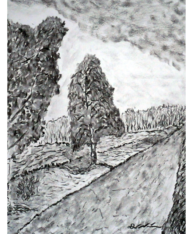Dirk Nienemann, Künstler Holzkohlezeichnungen, Lehrte Hannover, Drucke Holzkohlezeichnungen,Abstrakte, Landschaft, Stillleben